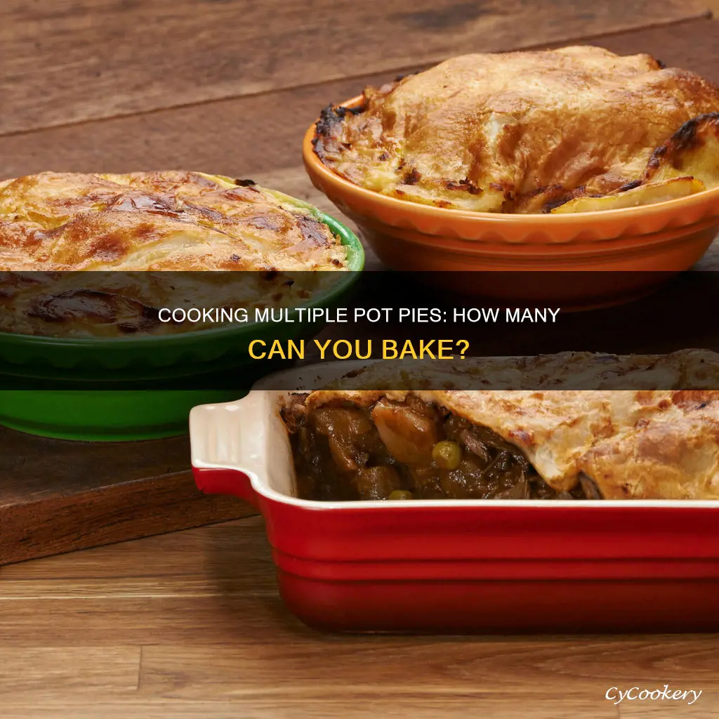can you cook two pot pies at once