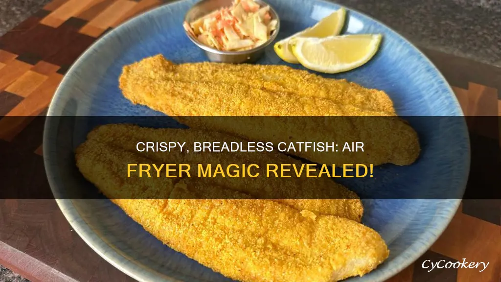 can you cook unbreaded catfish in an air fryer