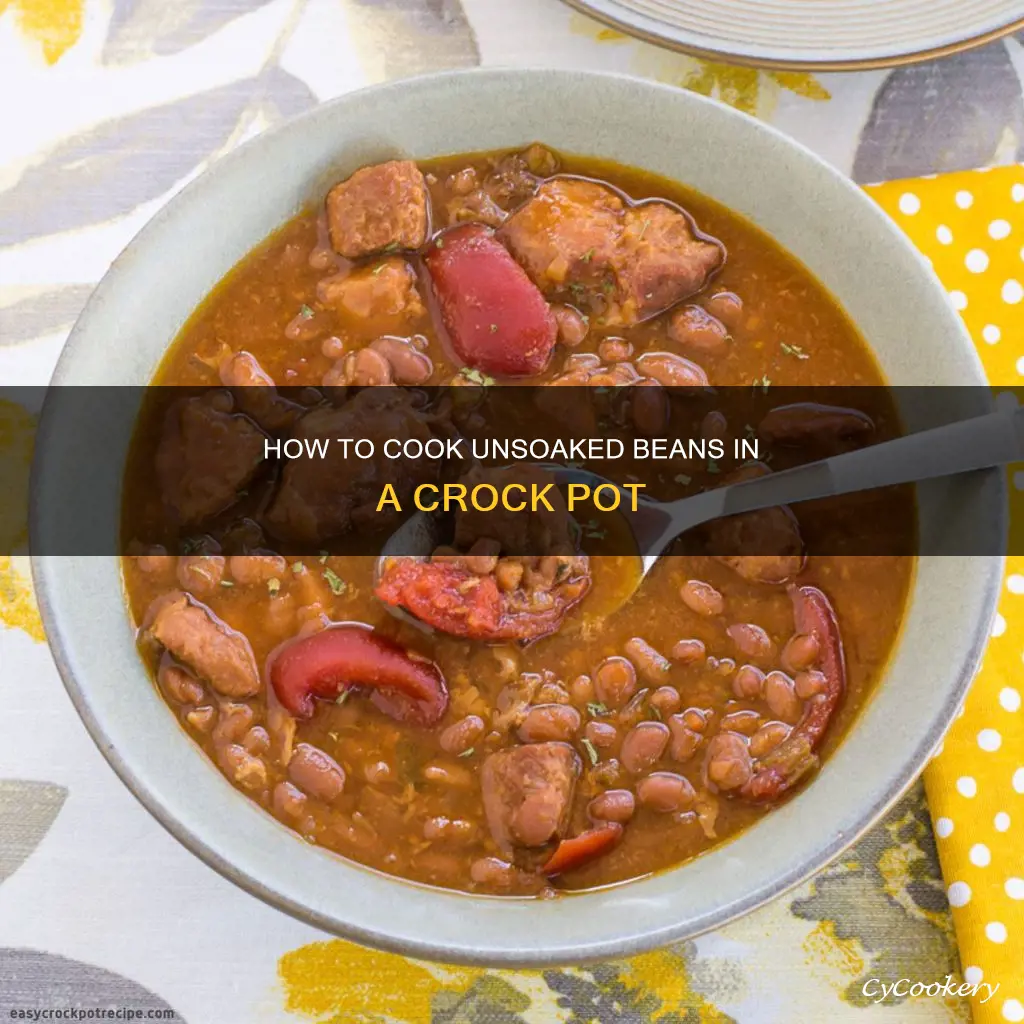 can you cook unsoaked beans in a crock pot