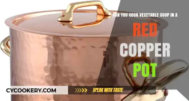 Vegetable Soup in a Red Copper Pot: Is it Safe?