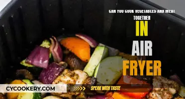 Air Fryer Cooking Mastery: Cooking Vegetables and Meat Together