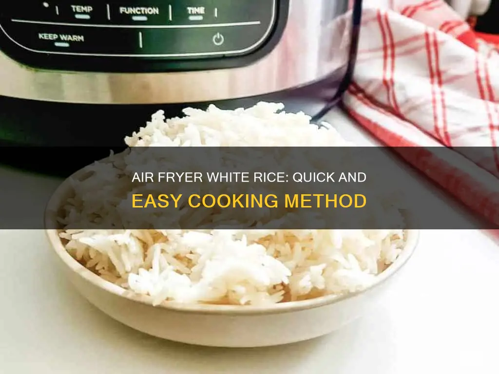 can you cook white rice in a air fryer