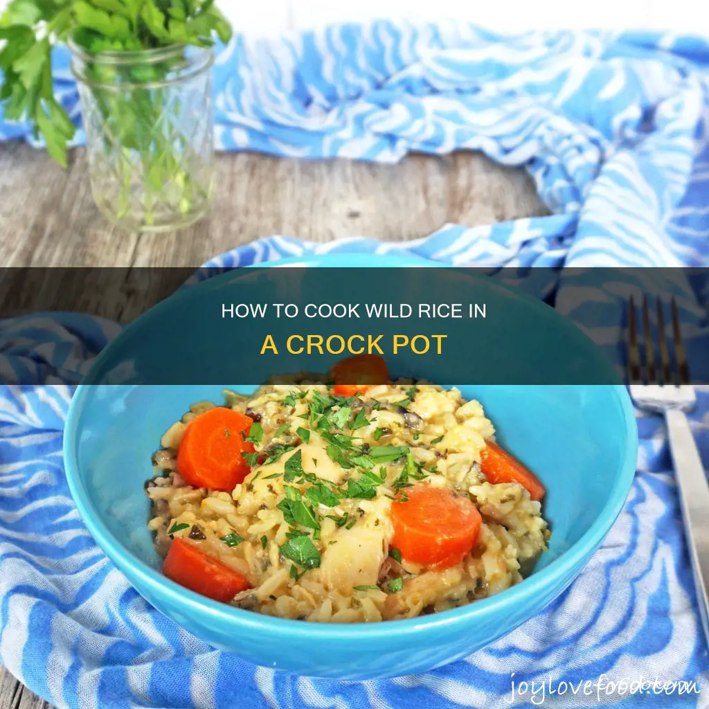 can you cook wild rice in a crock pot