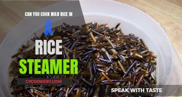 Using a Rice Steamer to Cook Wild Rice