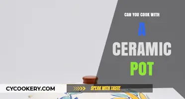Ceramic Pots: Safe for Cooking?