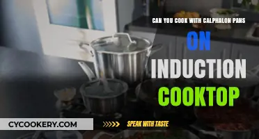 Calphalon Pans: Induction Cooking Compatible?