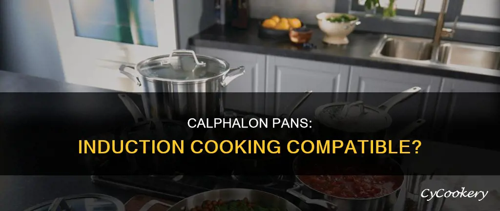 can you cook with calphalon pans on induction cooktop