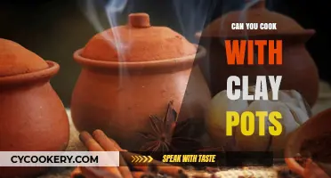 Clay Pot Cooking: Safe and Healthy?