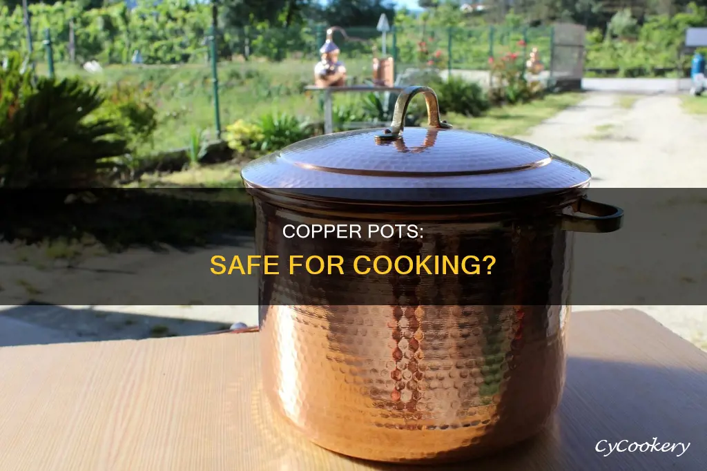 can you cook with copper pots