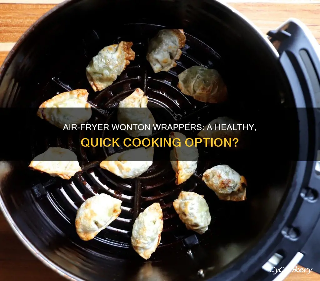 can you cook wonton wrappers in the air fryer
