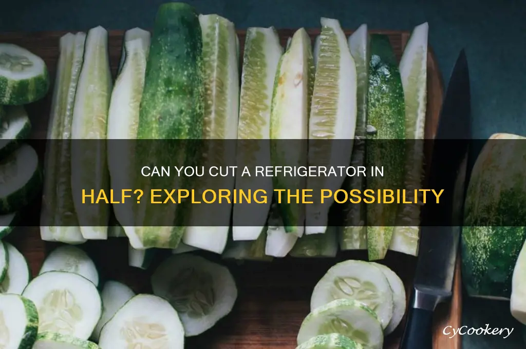 can you cut a refrigerator in half