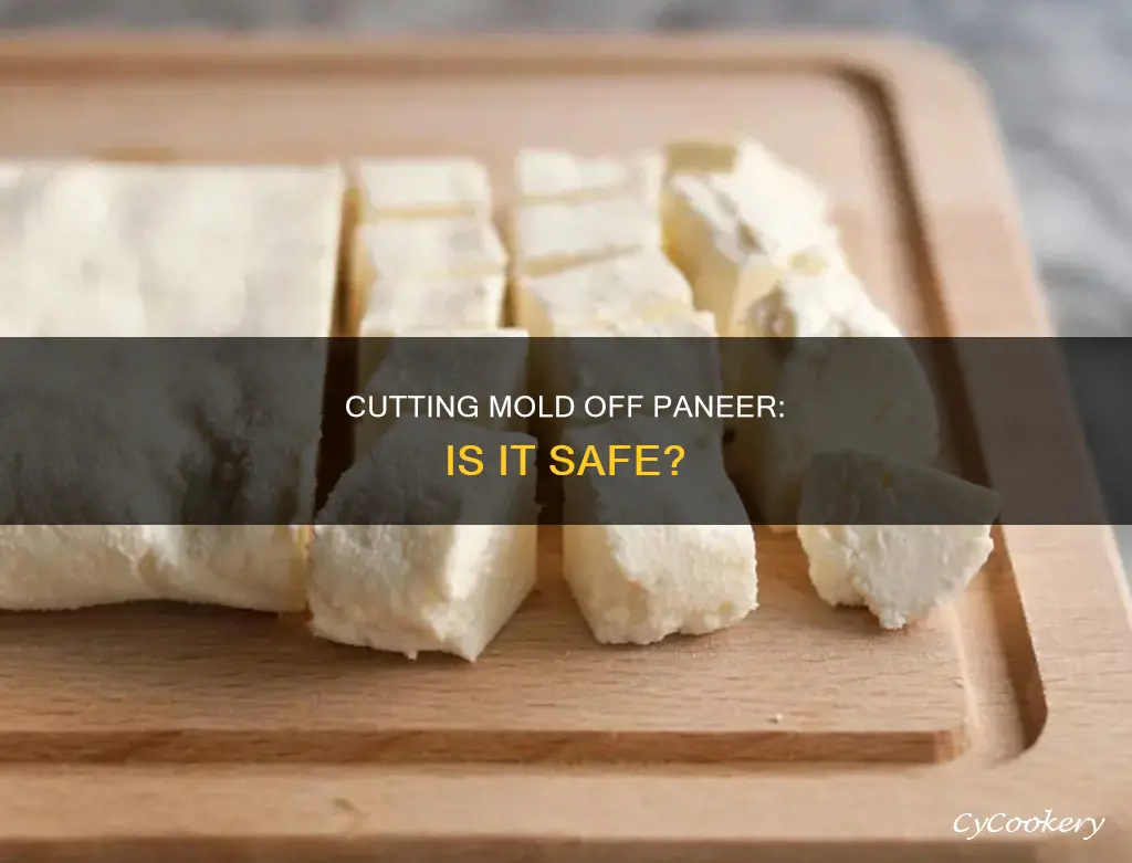 can you cut mold off paneer