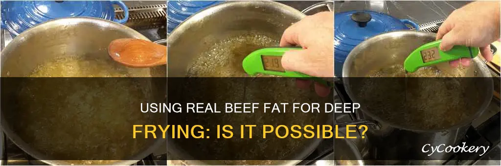 can you deep fryer in real beef fat