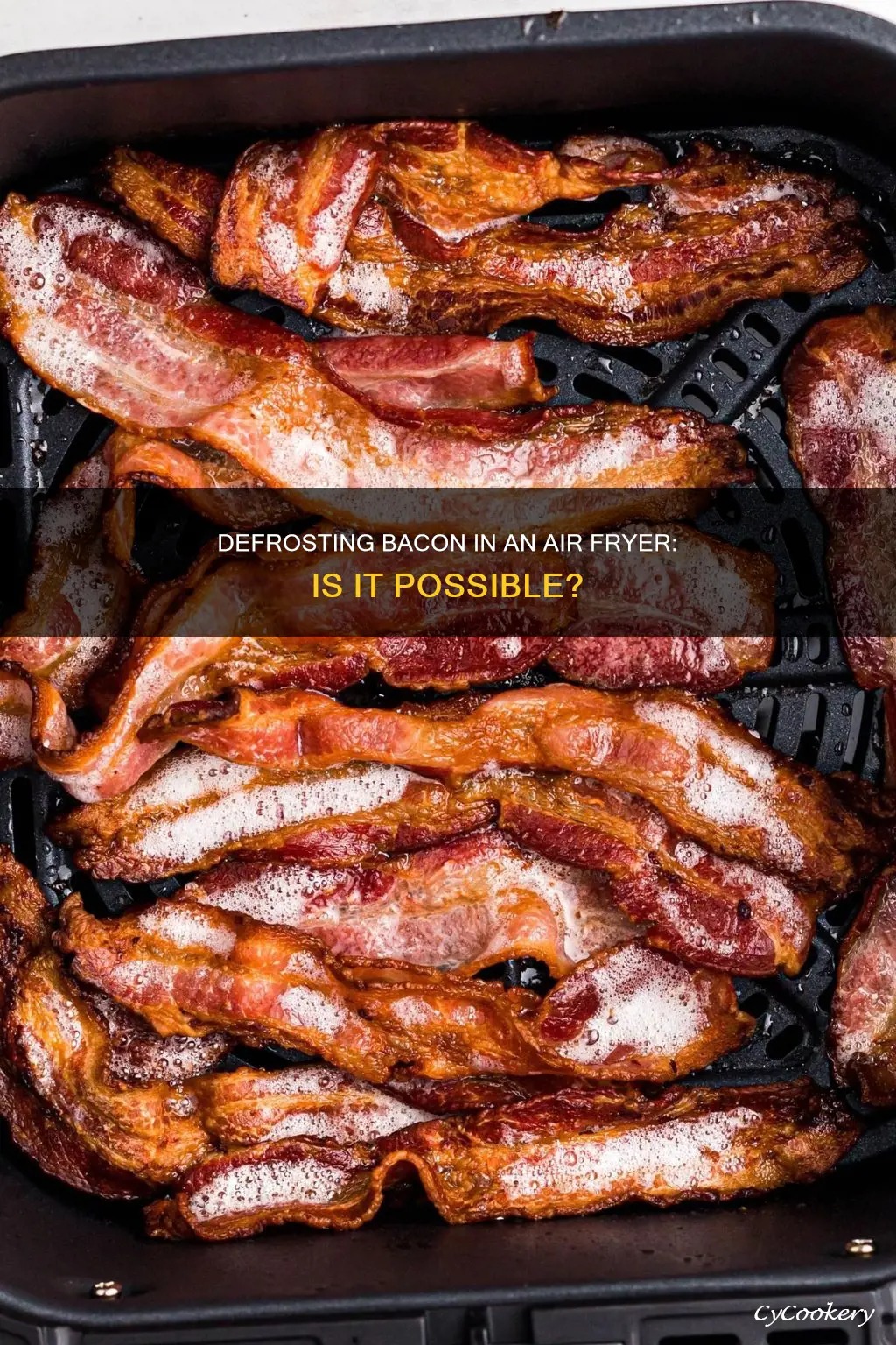 can you defrost bacon in an air fryer