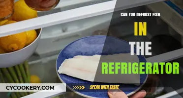 Safely Defrosting Fish: Refrigerator Tips for Fresh, Tasty Results