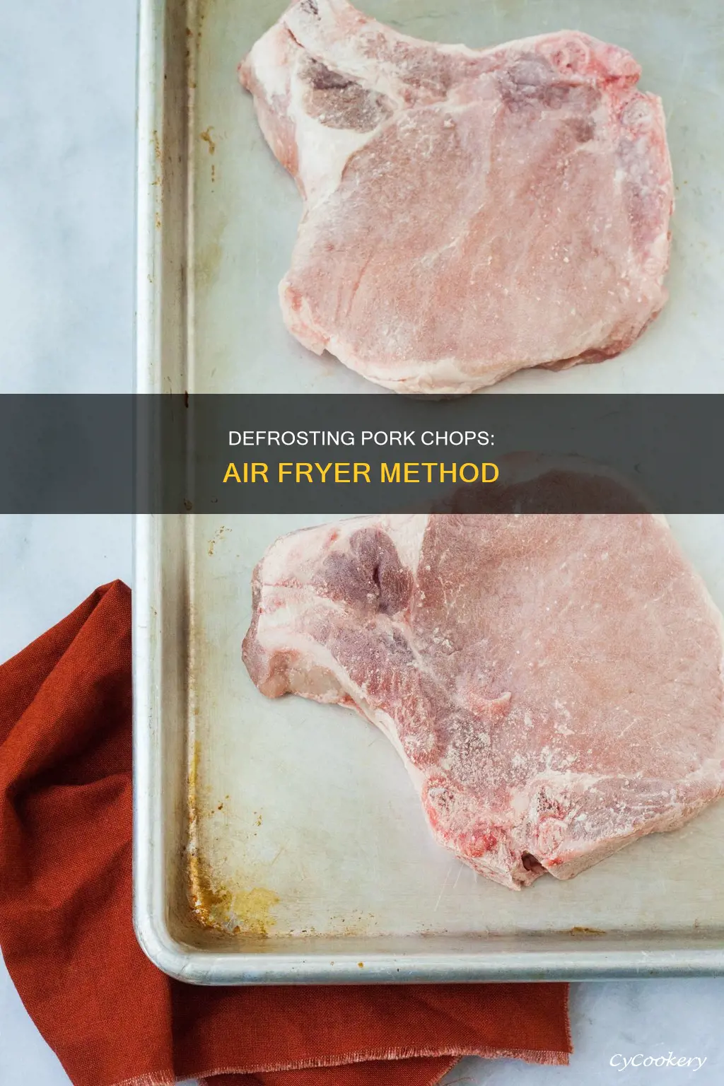 can you defrost pork chops in air fryer