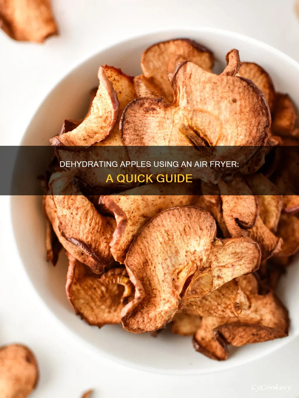 can you dehydrate apples in air fryer