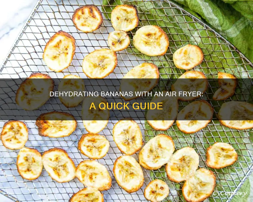 can you dehydrate bananas in an air fryer