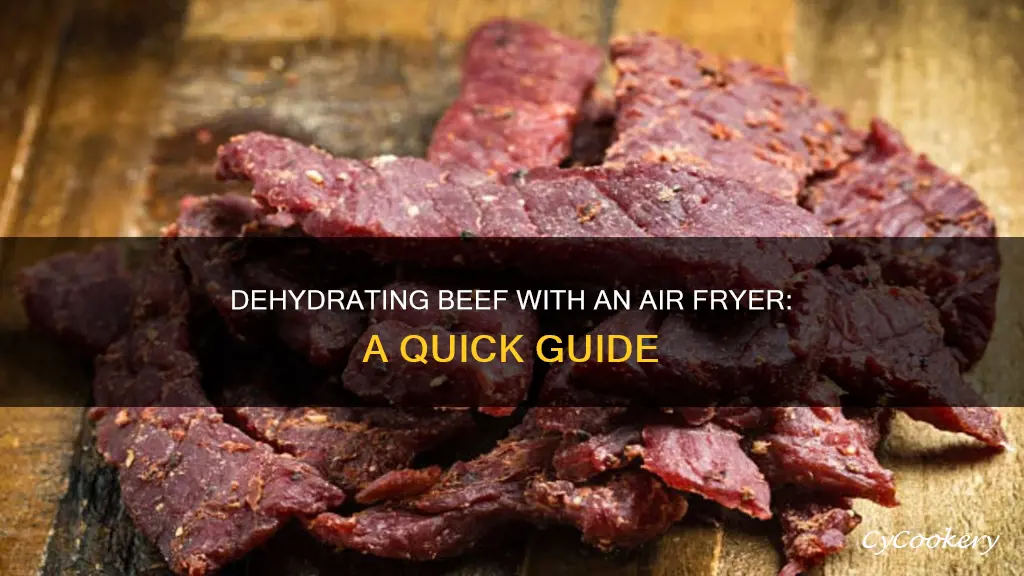 can you dehydrate beef in an air fryer