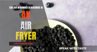 Dehydrating Blueberries in an Air Fryer: A Quick Guide