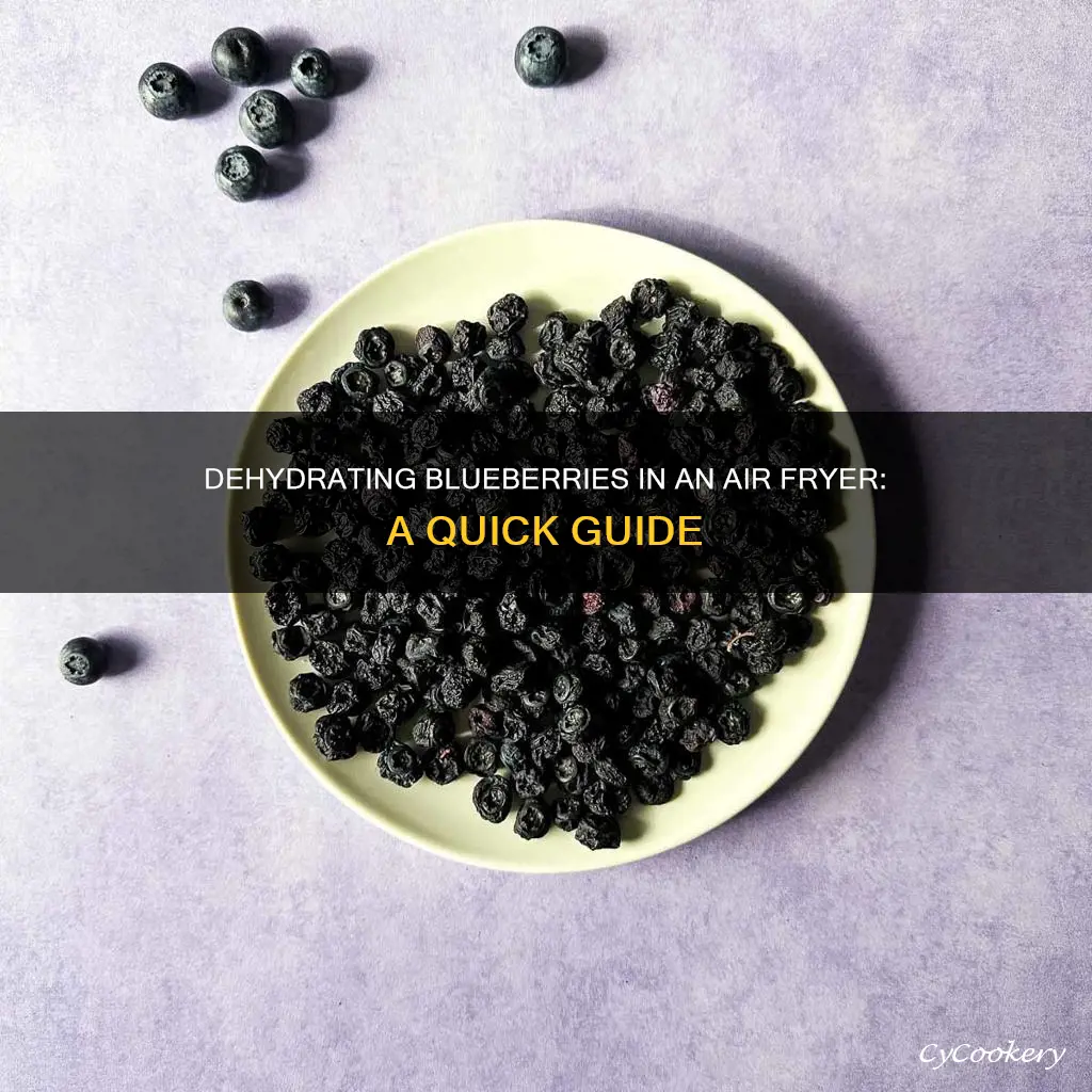 can you dehydrate blueberries in an air fryer