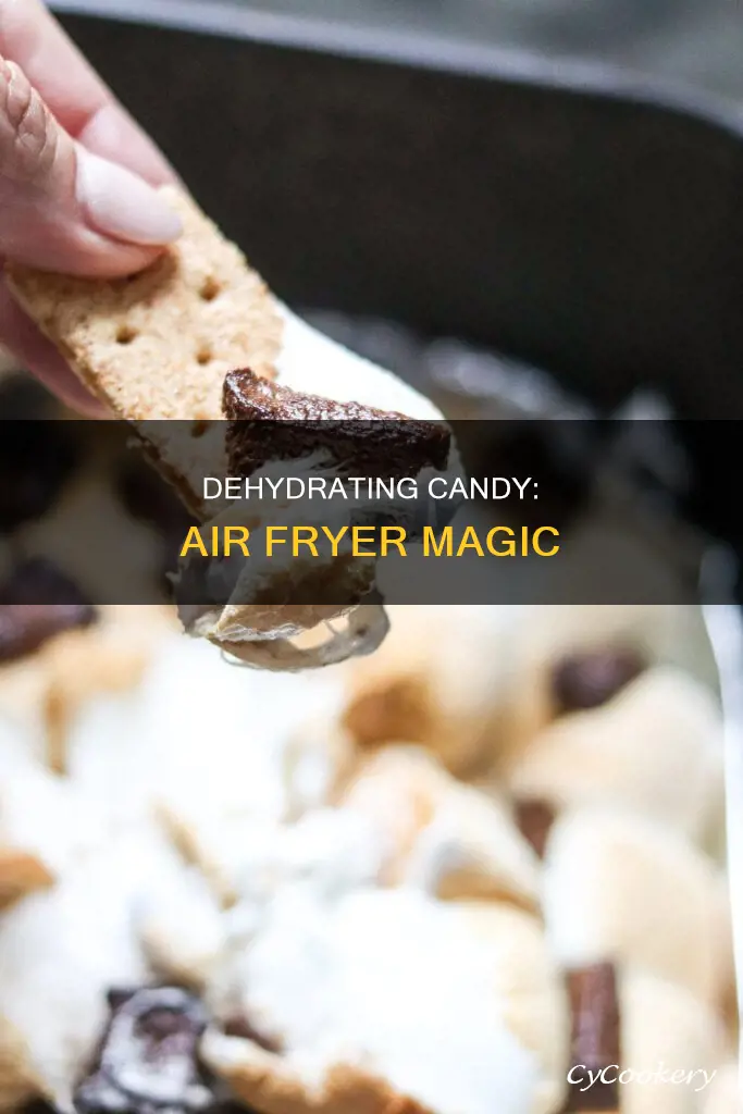 can you dehydrate candy in an air fryer