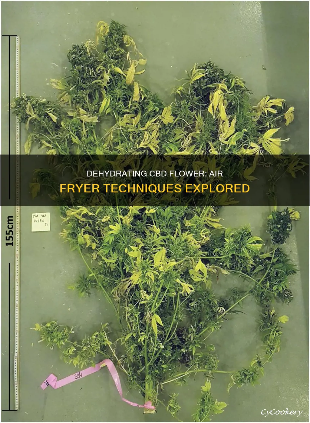 can you dehydrate cbd flower in air fryer