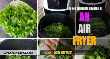 Dehydrating Cilantro in an Air Fryer: Is It Possible?