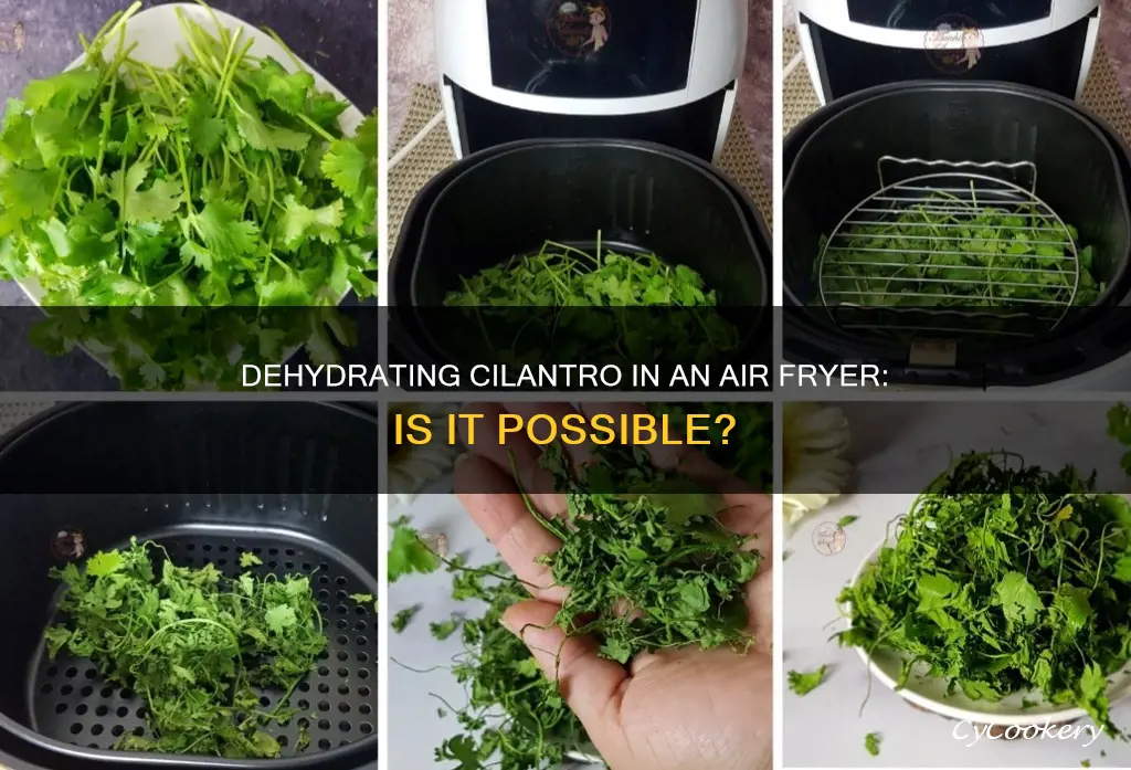 can you dehydrate cilantro in an air fryer