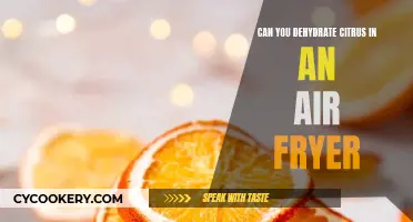 Dehydrating Citrus with an Air Fryer: A Quick Guide