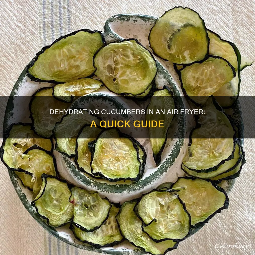 can you dehydrate cucumbers in air fryer