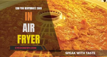 Dehydrating Eggs in an Air Fryer: Is It Possible?