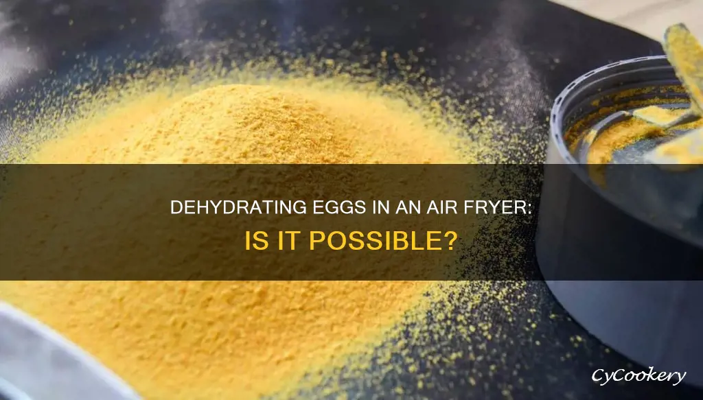 can you dehydrate eggs in air fryer