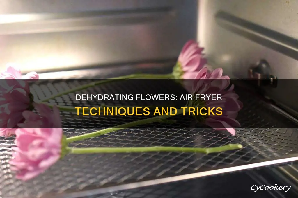 can you dehydrate flower in air fryer