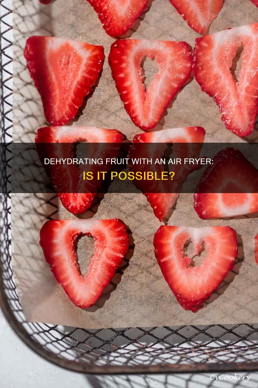 can you dehydrate fruit in an air fryer