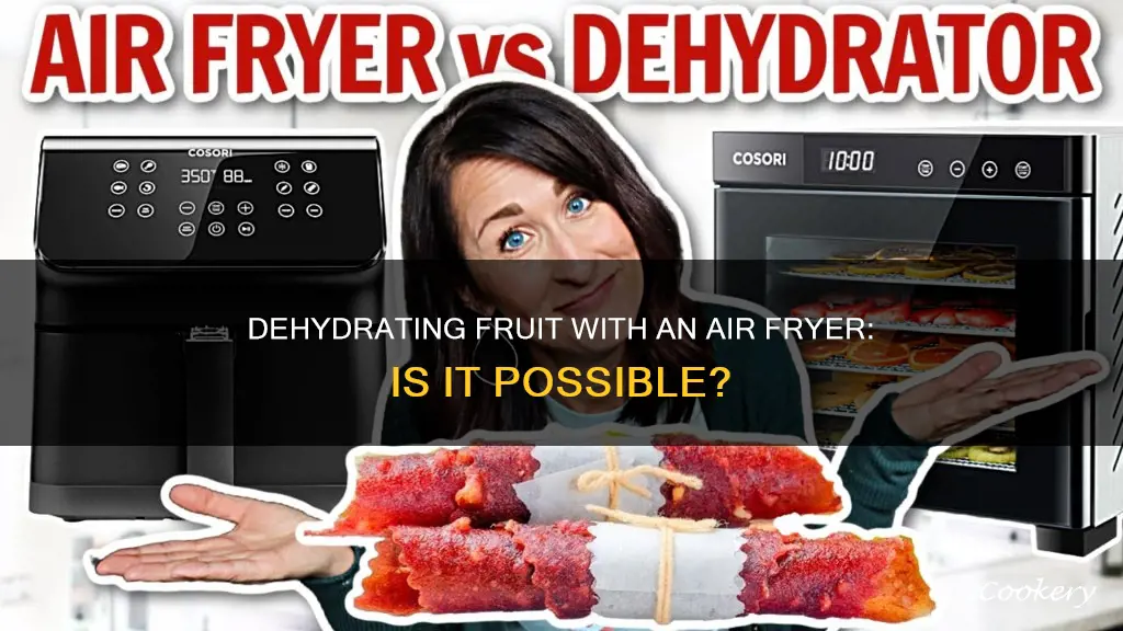 can you dehydrate fruit with an air fryer