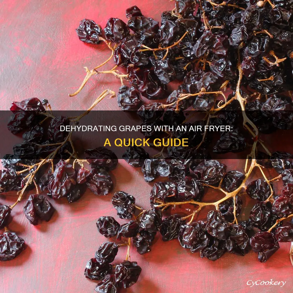 can you dehydrate grapes in an air fryer