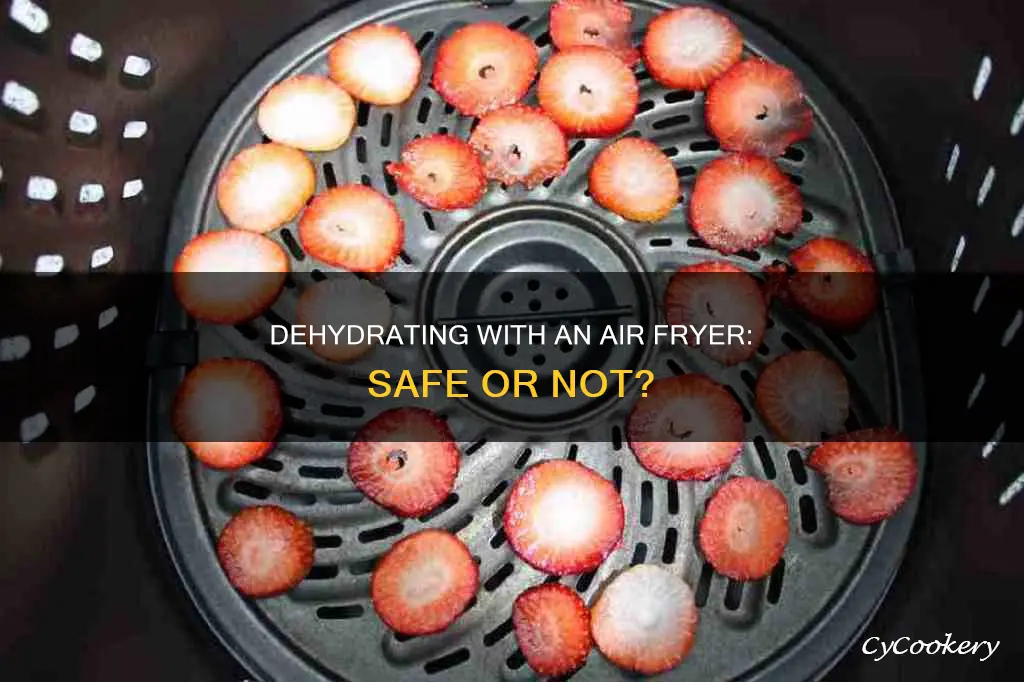 can you dehydrate in an air fryer