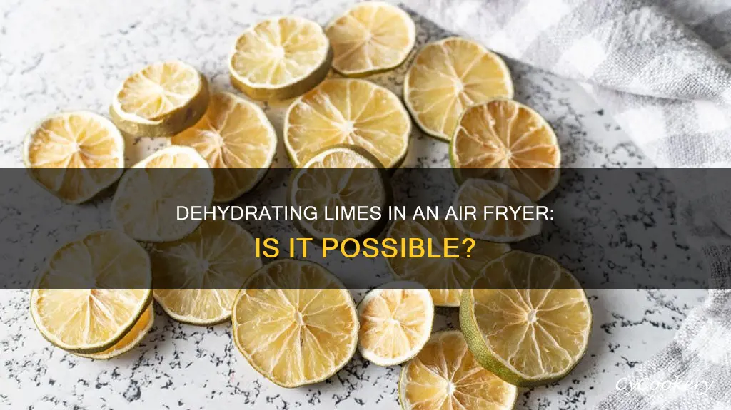 can you dehydrate limes in an air fryer