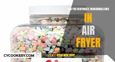 Dehydrating Marshmallows: Air Fryer Magic