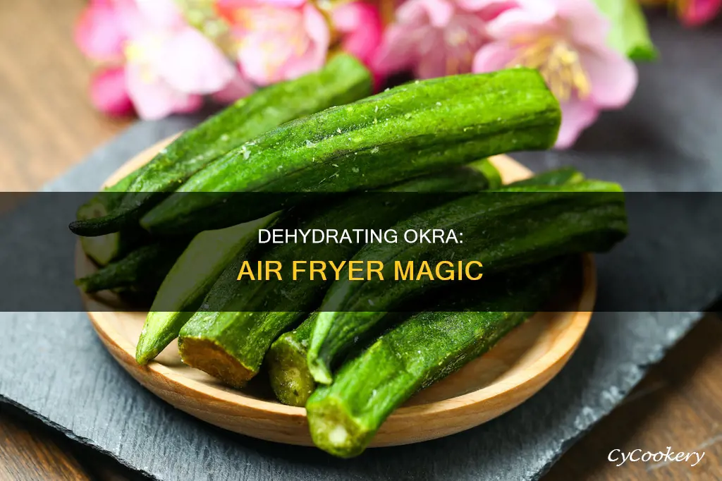 can you dehydrate okra in an air fryer