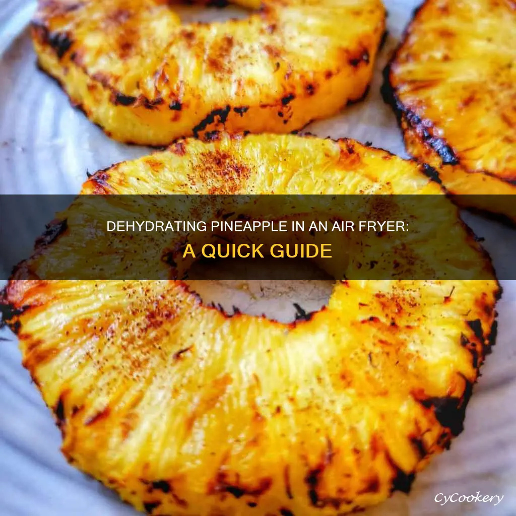 can you dehydrate pineapple in an air fryer