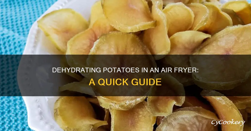 can you dehydrate potatoes in air fryer