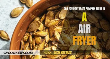 Dehydrating Pumpkin Seeds: Air Fryer Magic