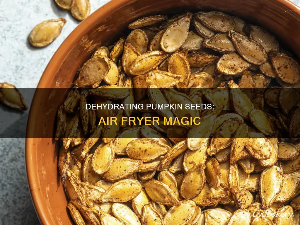 can you dehydrate pumpkin seeds in a air fryer