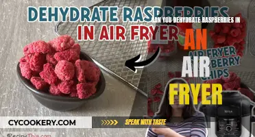 Dehydrating Raspberries: Air Fryer Magic