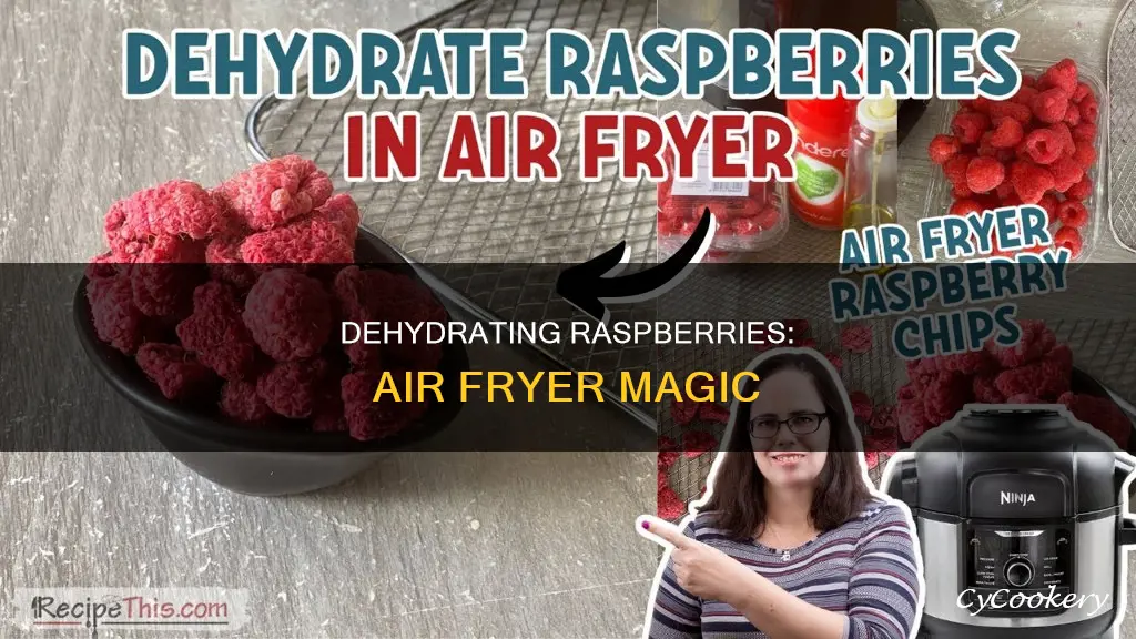 can you dehydrate raspberries in an air fryer