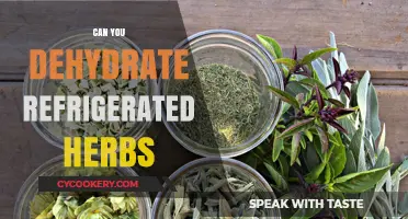 Dehydrating Refrigerated Herbs: Tips for Preserving Freshness and Flavor