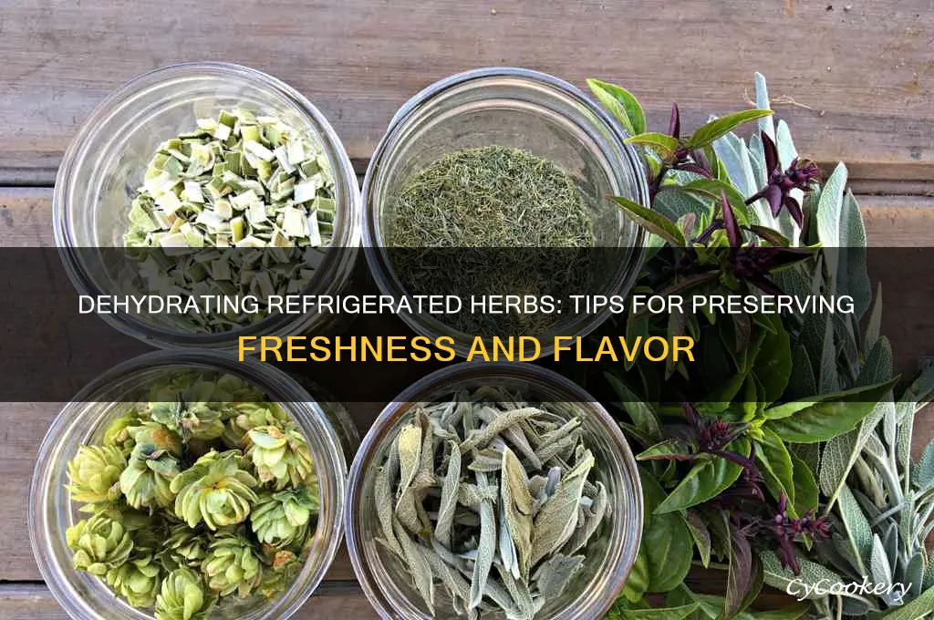 can you dehydrate refrigerated herbs