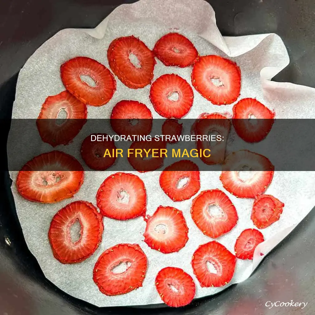 can you dehydrate strawberries in an air fryer